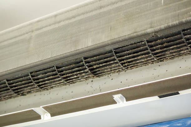 Best Affordable Air Duct Cleaning  in Walkertown, NC